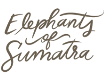 Elephants of Sumatra Logo